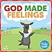 God Made Feelings: A Book about Emotions (Frolic First Faith)