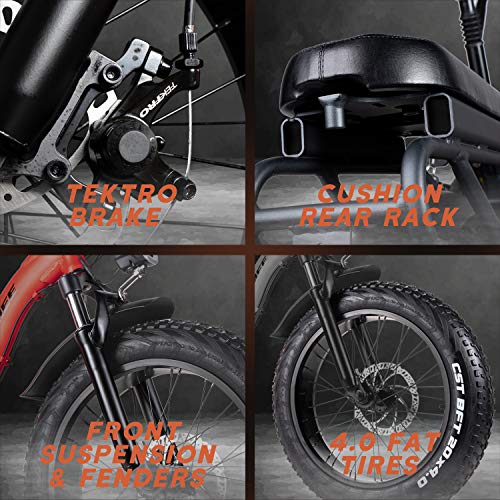 Rattan 48V 750W Electric Bike for Adults Folding Bikes 4.0 Fat Tire