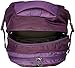 Osprey Packs Perigee Daypack, Mariposa Purple