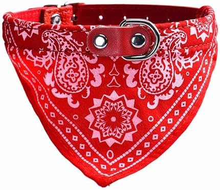 private breeder puppies near me