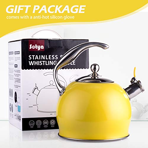 Tea Kettle Best 3 Liter induction Modern Stainless Steel Surgical Whistling Teapot Tea Pot For