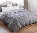 LUX Décor Queen Comforter – 88x88 Ultra-Soft Down Alternative Duvet Insert with Corner Tabs & Box Stitching, Hotel Quality Plush Microfiber Bedding, Oeko-TEX Certified - Grey