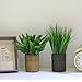 Artificial Plants Fern Fake Shrubs Bushe 11