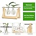 Takefuns Glass Planter Bulb Vase Desktop Hanging Glass Libra Water Planting Glass Vase Hydroponics Plants Office Desk Wedding Decor with Retro Wooden Stand (3 Bulb Vase)thumb 1