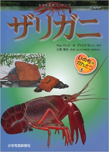 ザリガニ いのちのかんさつ 中山 れいこ アトリエモレリ 本 通販 Amazon