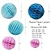 SUNBEAUTY Pack of 11 Fuchsia Pink Blue Paper Decoration Kit Paper Lanterns Pom Poms Flowers for Wedding Birthday Girl Valentine Party Nursery Decoration