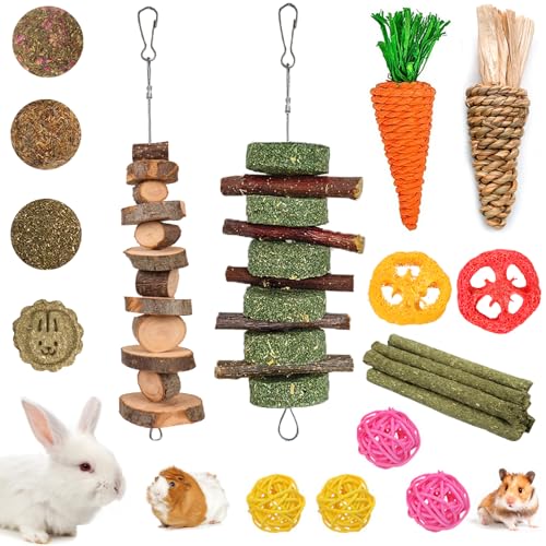 Grddaef 20 PCS Chew Toy Set