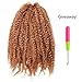 Pack of 3 Afro Kinky Marley Braids Hair Extensions ELEGANT MUSES Kanekalon Synthetic Twist Crochet Braiding Hair 18 inch 100g/pcs (18 inch, 30#)