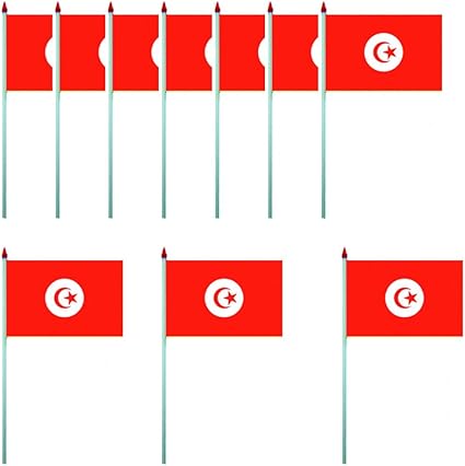 Amazon Com Tunisia 10 Flag Set Banner 4 X 6 Inch 10 X 15 Cm