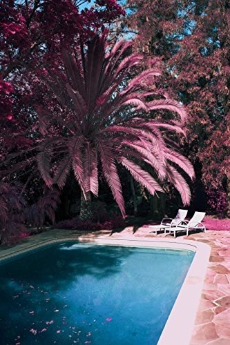 Hedley - Cageless - Zortam Music