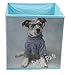 Clever Creations Dog's Rule Collapsible Storage Organizer Cube Folding Storage Organizer for Animal Themed Rooms | Perfect Size Storage Cube for Books, Shoes, Games