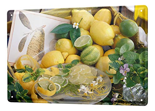 Plaques Nostalgic Fun Decoration Lemon Lime Metal Wall Plate