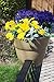 EMSCO Group Bloomers Railing Planter with Drainage Holes – 24