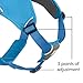 Ruffwear, Web Master, Multi-Use Support Dog Harness, Hiking and Trail Running, Service and Working, Everyday Wear, Blue Dusk, Small