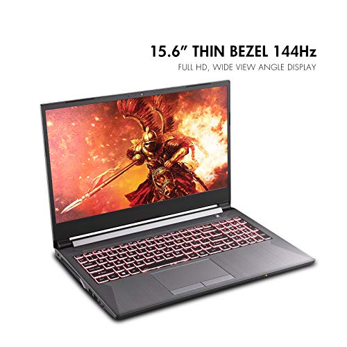 Sager NP7858DW 15.6-Inch Thin Bezel FHD 144Hz Gaming Laptop, Intel i7-10875H, RTX 2060 6GB, 32GB RAM, 1TB NVMe SSD, Windows 10