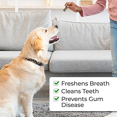 Alpha Paw High Protein Teeth Brushing Doggy Dental Chews Removes
