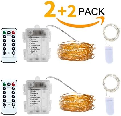 Battery Operated LED Starry String Lights Copper Wire 16.5ft 50 LED with Wireless Handheld Remote Control and 2 Sets of 6.6ft Silver Wire Mini Button Battery Lights (Warm White, 2+2 Pack)