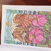 Amazon.com: Sedona and the Grand Canyon: Nature Therapy Coloring Book ...