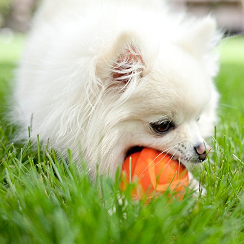 Hartz Dura Play Bacon Scented Dog Ball - Medium (Colors Vary)