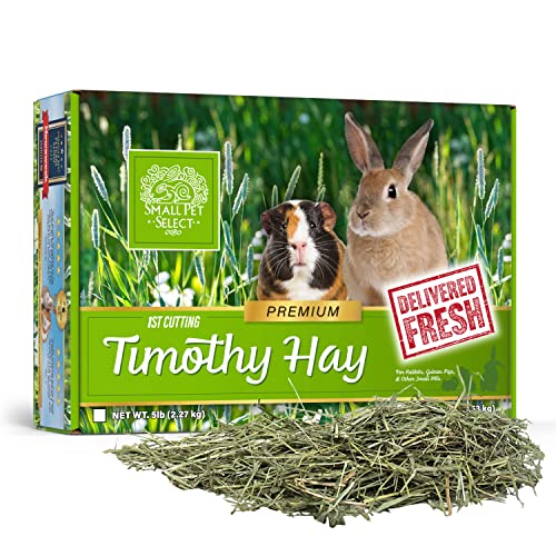 Small Pet Select 1st Cut Timothy Hay Pet Food for Rabbits, Guinea Pigs