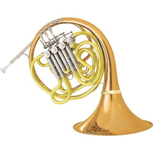 Top 10 Best French Horns Instrument Professional Double Top Reviews