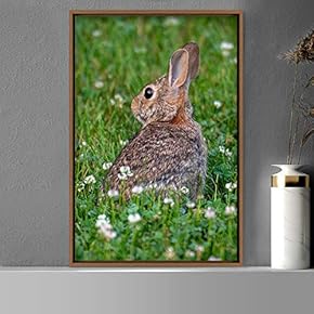 signwin Framed Canvas Wall Art Bunny Animals Bedroom...