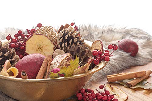 image for Andaluca Apple Cider Cinnamon Scented Potpourri | Made in California |