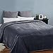Soft Queen Size Blanket All Season Warm Fuzzy Microplush Lightweight Thermal Fleece Blankets for Couch Bed Sofa,90x90 Inches,Dark Gray