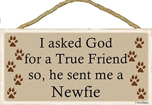 I asked God for a True Friend so, he sent me a Newfie / Sign 5''x10'' Wood, New, Hanging indoor Plaque / Celebrate your four-legged friends / Makes a great gift idea!