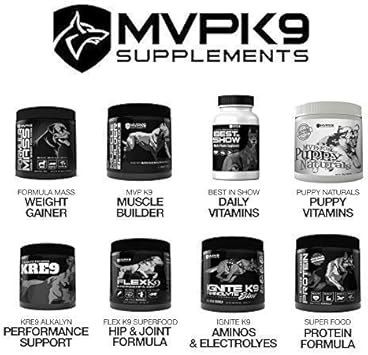 mvp mass gainer