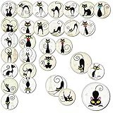 Cat Magnets for Refrigerator–Cat Items for Cat