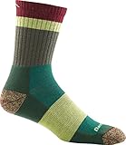 Darn Tough Men's Heady Stripe Micro Crew Light Cushion Socks