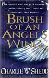 Brush of an Angels Wing, True stories of Angels
