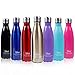 Sfee 17oz Insulated Water Bottle Stainless Steel Double Wall Vacuum Bottle Cup Leak Proof Keeps Hot and Cold Drinks BPA Free for Kids Outdoor Sports Camping Gym+Cleaning Brush