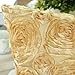 CaliTime Pack of 2 Cushion Covers Throw Pillow Cases Shells for Couch Sofa Home Solid Stereo Roses Floral 20 X 20 Inches Soft Gold