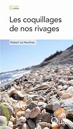 Les  coquillages de nos rivages