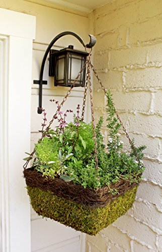 Super Moss 7 59834 29327 9 MossWeave Hanging Basket, Set of 3 (S/M/L), Fresh Green - Thumbnail 3