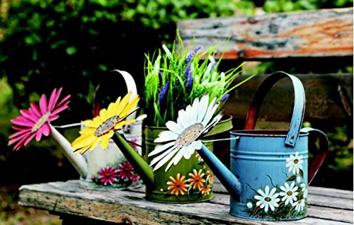 Attraction Design Antique Finish Spring Decorative Watering Can (Green)