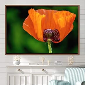 signwin Framed Canvas Wall Art Flora Snapshot Closeup...