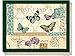 Creative Tops Postcard Lap Tray, Multi-Colour, 43.5 x 34 cm (17 Inch x 13 Inch)