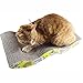 Cat Toy, PYRUS Pet Corrugated Cardboard Cat Scratching Pad with Catnip Cat Cardboard Sofa Ultimate Cat Lounge (W-Shaped)