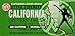 6pk - California Tea - Dieters Drink - 20 bags