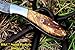 DKC-58-LJ-OW LITTLE JAY Damascus Folding Pocket Knife Olive Wood Handle 4