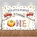 Mocsicka Pumpkin First Birthday Backdrop Autumn Fall Harvest Truck Car 1st Birthday Background 7x5ft Vinyl Fall Pumpkin First Birthday Party Backdrops