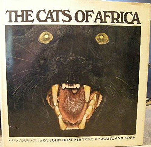 The cats of Africa