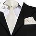 CAOFENVOO Beige Neckties Silk Mens Tie with Gift Box for Men Hanky Set