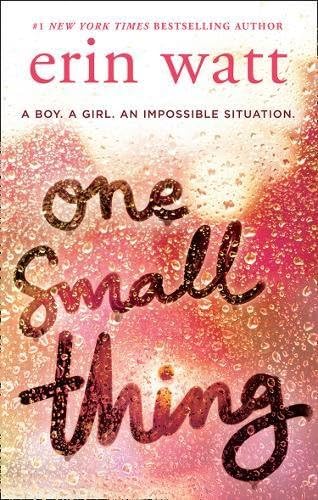One Small Thing: The gripping page-turner essential reading for 2020!