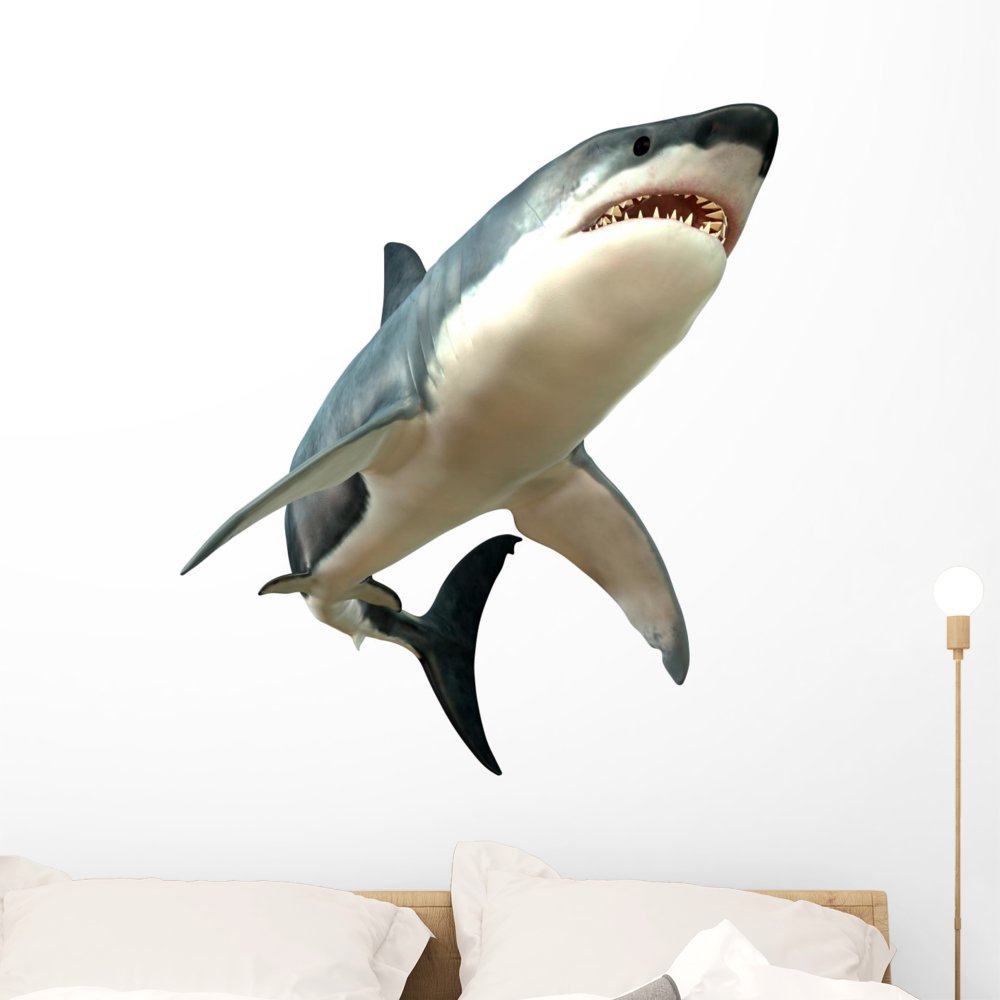 Wallmonkeys Great White Shark Wall Decal Peel and Stick Animal Graphics (36 in H x 36 in W) WM289167