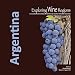 Exploring Wine Regions: Argentina by Michael C. Higgins PhD