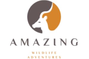 Amazing Wildlife Adventures